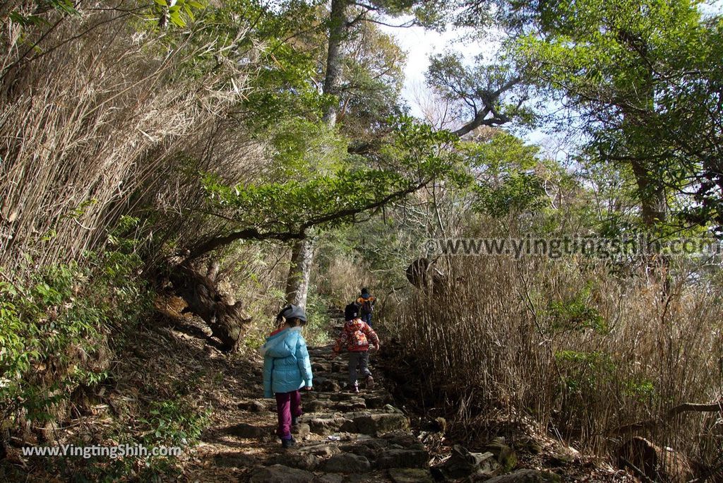 YTS_YTS_20190124_日本九州鹿兒島大浪池／日本最高火山口湖Japan Kyushu Kagoshima Onami-ike Crater Lake／Mount Karakuni042_3A5A2225.jpg