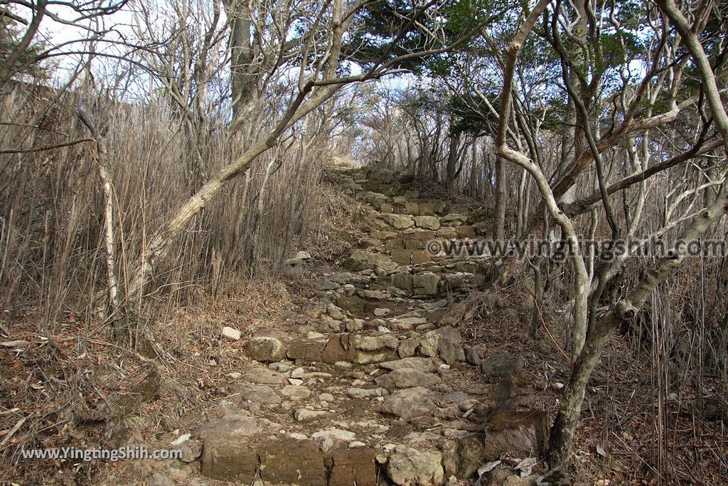 YTS_YTS_20190124_日本九州鹿兒島大浪池／日本最高火山口湖Japan Kyushu Kagoshima Onami-ike Crater Lake／Mount Karakuni052_3A5A2336.jpg