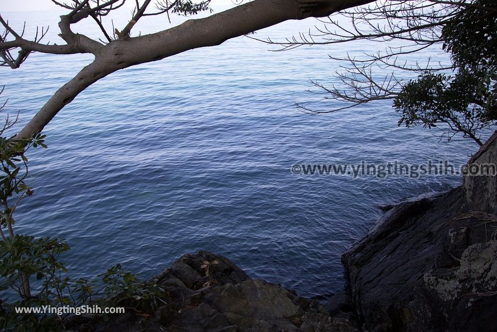 YTS_YTS_20190124_日本九州鹿兒島櫻島太崎観音／牛根麓駐車場Japan Kyushu Kagoshima Ushinefumoto Parking Lot019_3A5A3014.jpg