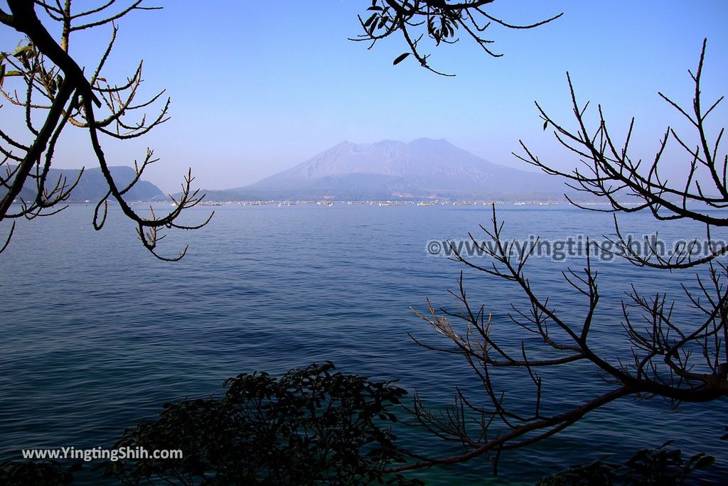 YTS_YTS_20190124_日本九州鹿兒島櫻島太崎観音／牛根麓駐車場Japan Kyushu Kagoshima Ushinefumoto Parking Lot026_3A5A3115.jpg