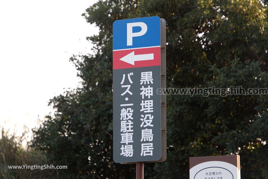 YTS_YTS_20190124_日本九州鹿兒島櫻島黒神埋没鳥居Japan Kyushu Kagoshima Kurokami Buried Shrine Gate007_3A5A1141.jpg