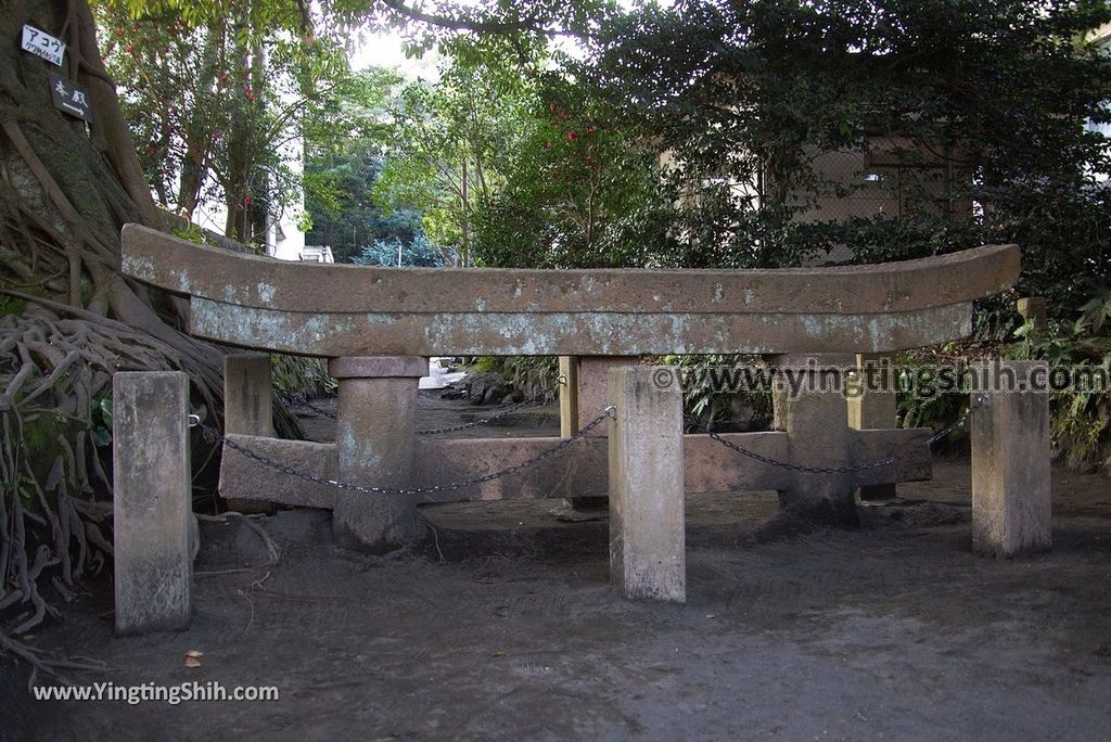 YTS_YTS_20190124_日本九州鹿兒島櫻島黒神埋没鳥居Japan Kyushu Kagoshima Kurokami Buried Shrine Gate029_3A5A1273.jpg