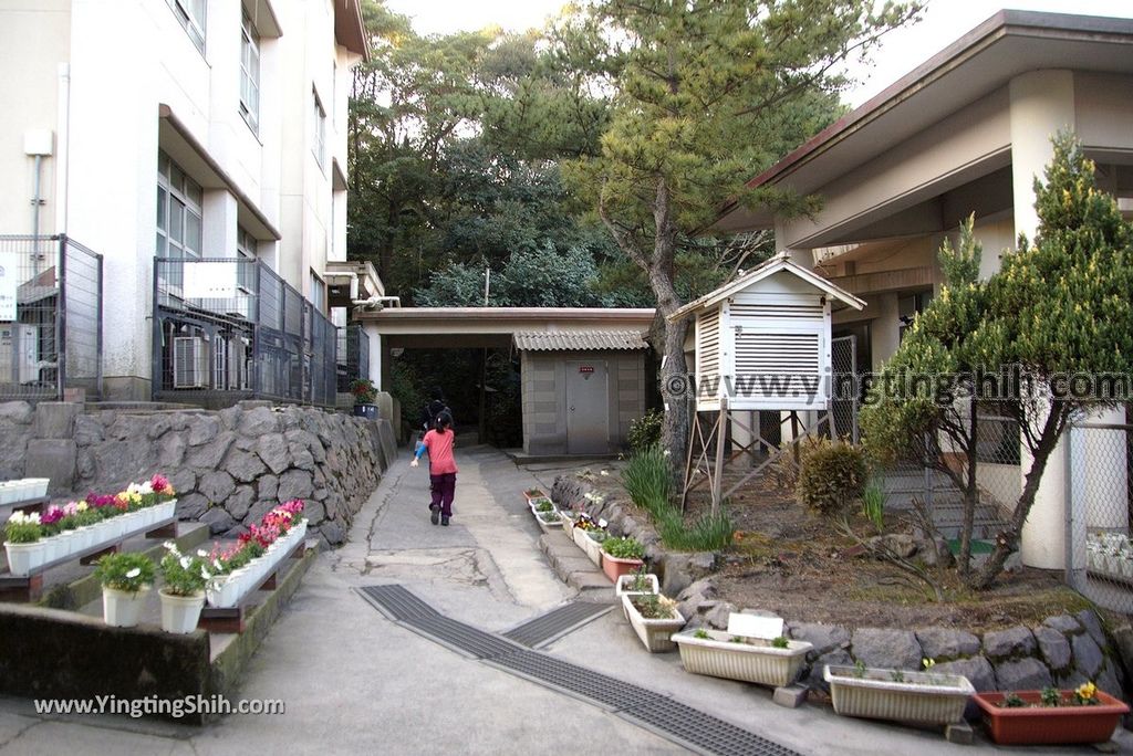 YTS_YTS_20190124_日本九州鹿兒島櫻島黒神埋没鳥居Japan Kyushu Kagoshima Kurokami Buried Shrine Gate035_3A5A1316.jpg