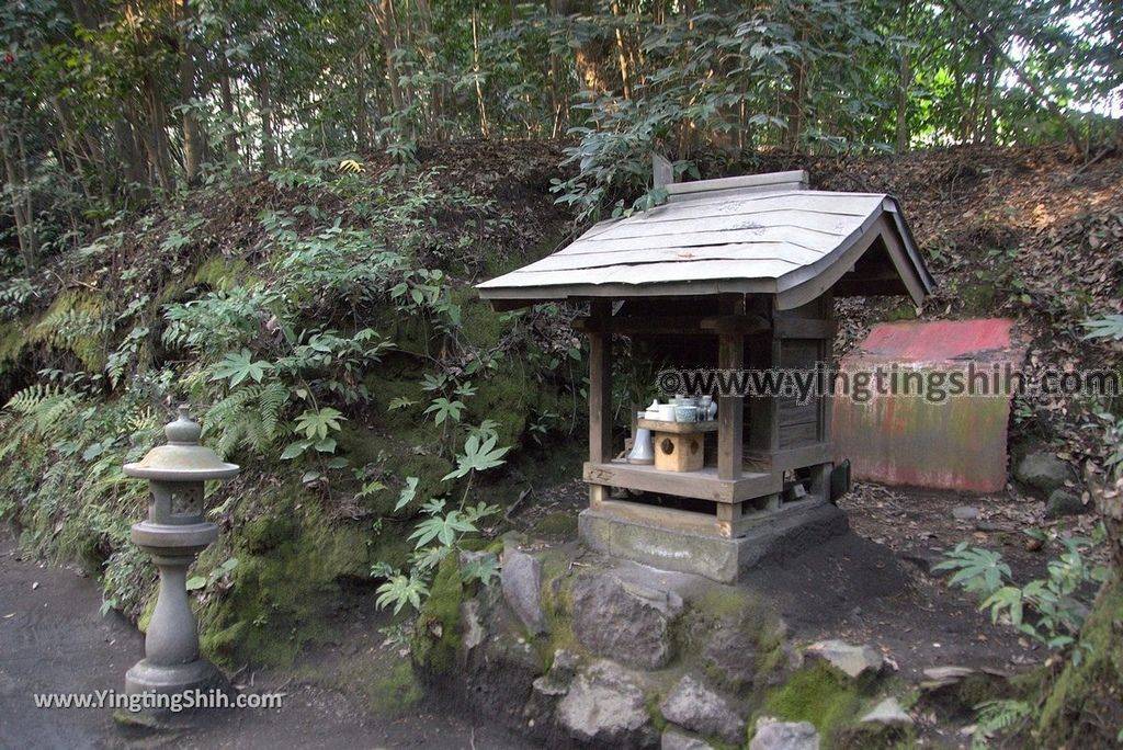 YTS_YTS_20190124_日本九州鹿兒島櫻島黒神埋没鳥居Japan Kyushu Kagoshima Kurokami Buried Shrine Gate042_3A5A1395.jpg