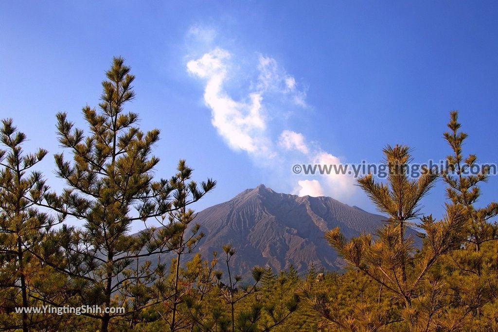 YTS_YTS_20190124_日本九州鹿兒島櫻島有村溶岩展望所／錦江灣國立公園Japan Kyushu Kagoshima Arimura Lava Observatory075_3A5A0696.jpg