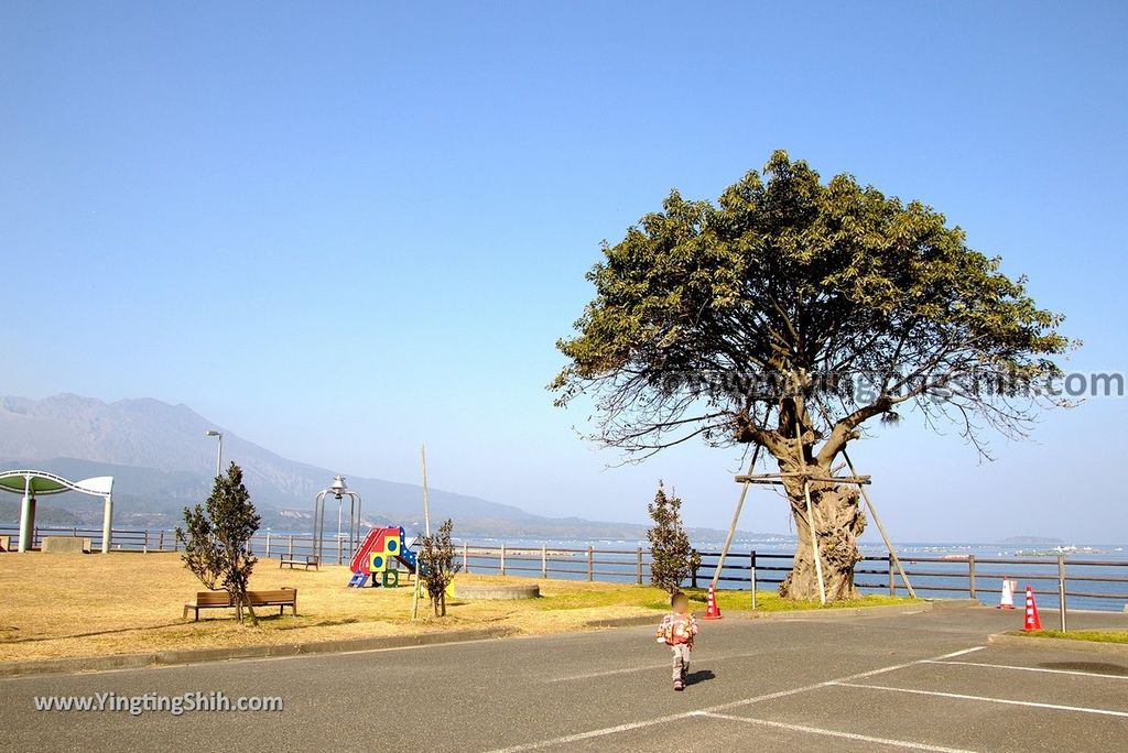 YTS_YTS_20190124_日本九州鹿兒島櫻島道之駅休息站／餐廳／垂水湯足館Japan Kyushu Kagoshima Sakurajima Tarumizu Yuttarikan Rest Area099_3A5A4262.jpg