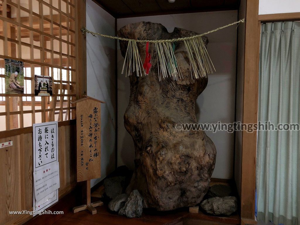 YTS_YTS_20190201_日本九州宮崎高千穂神社Japan Kyushu Miyazaki Takachiho Shrine043_IMG_3078.jpg