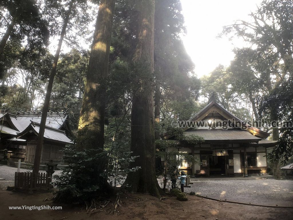 YTS_YTS_20190201_日本九州宮崎高千穂神社Japan Kyushu Miyazaki Takachiho Shrine040_IMG_3072.jpg