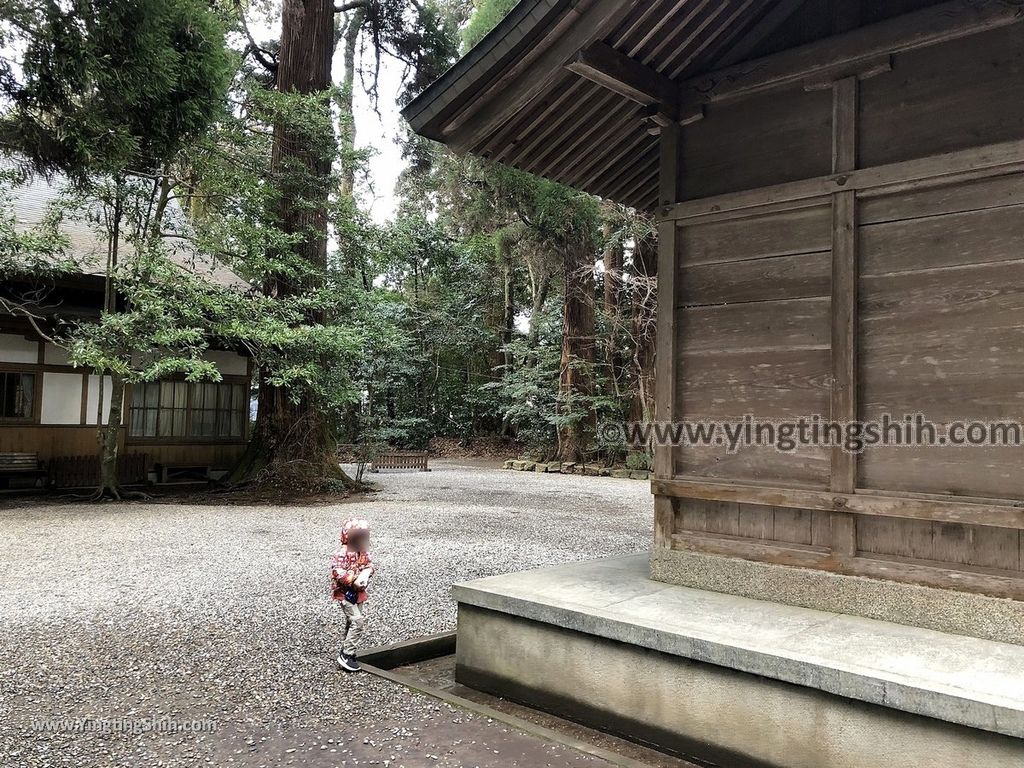 YTS_YTS_20190201_日本九州宮崎高千穂神社Japan Kyushu Miyazaki Takachiho Shrine059_IMG_3094.jpg