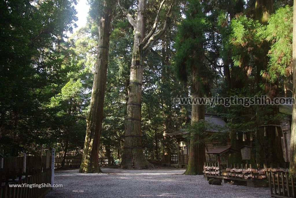 YTS_YTS_20190201_日本九州宮崎高千穂神社Japan Kyushu Miyazaki Takachiho Shrine061_3A5A7113.jpg