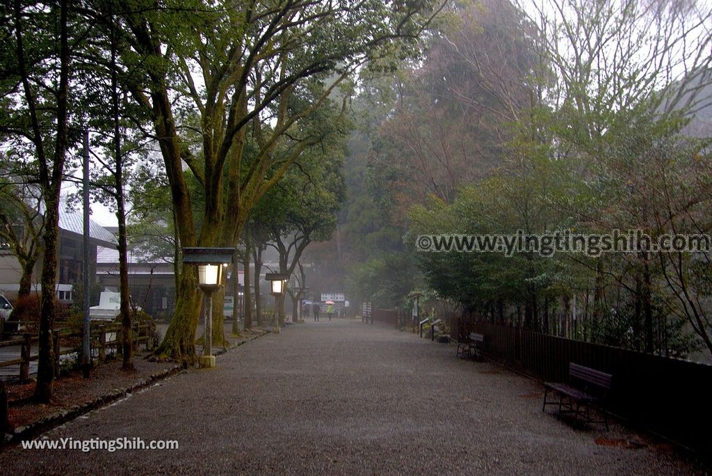 YTS_YTS_20190131_日本九州宮崎高千穗天岩戸神社東、西本宮／御神水／七本杉Japan Kyushu Miyazaki Amanoiwato Shrine018_3A5A5009.jpg