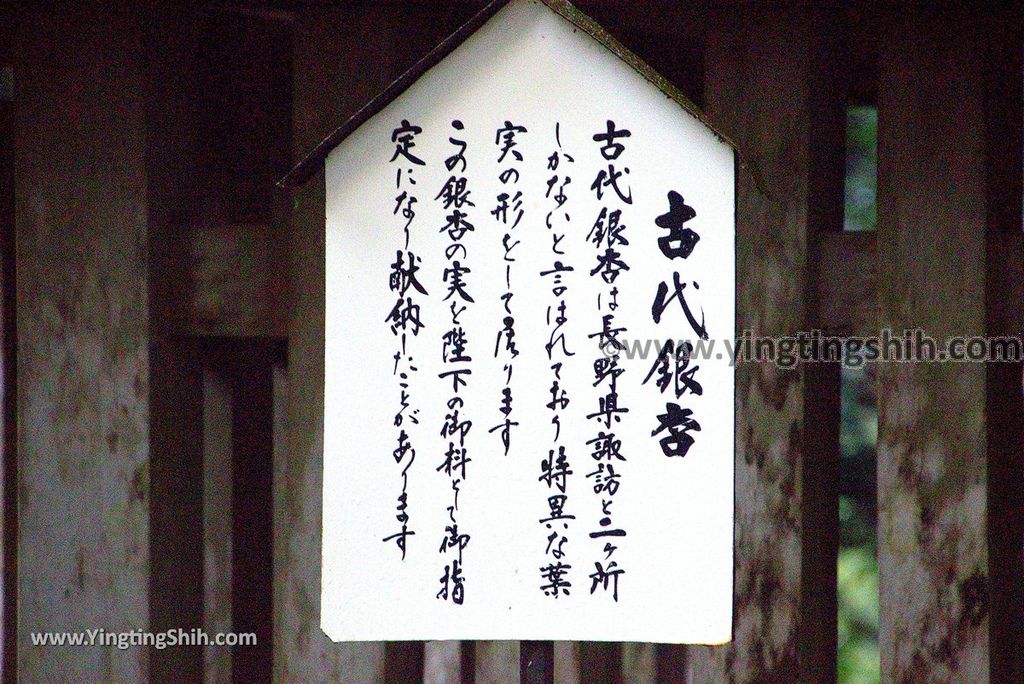 YTS_YTS_20190131_日本九州宮崎高千穗天岩戸神社東、西本宮／御神水／七本杉Japan Kyushu Miyazaki Amanoiwato Shrine069_3A5A5351.jpg