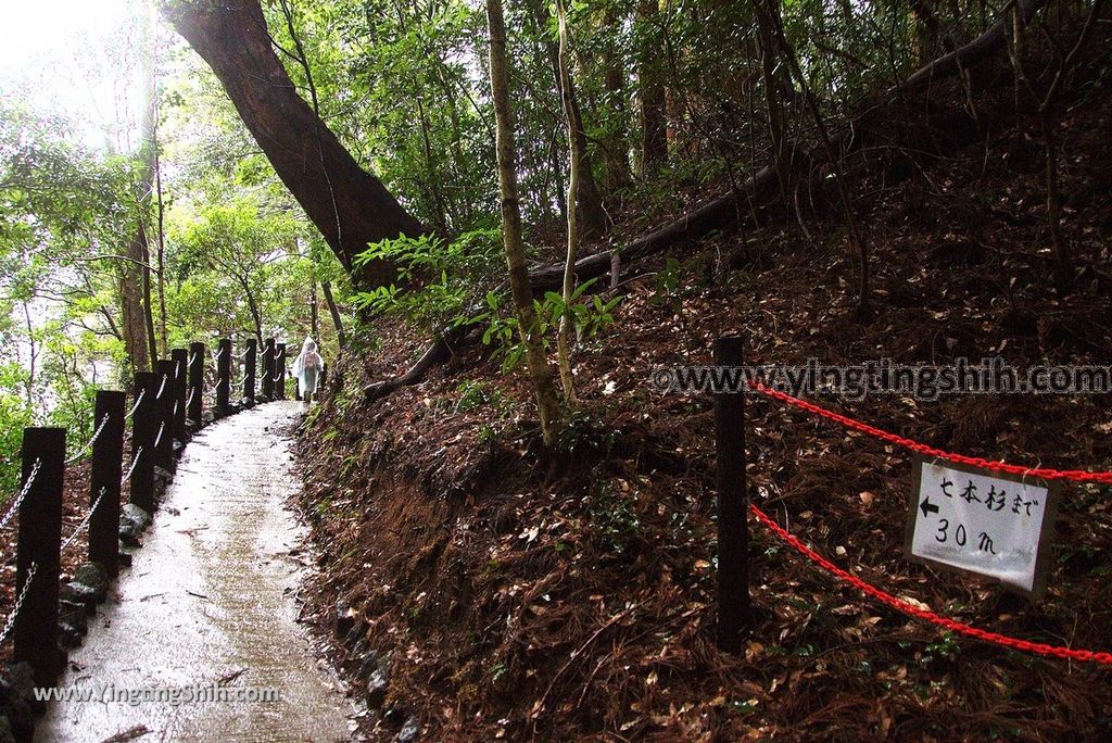 YTS_YTS_20190131_日本九州宮崎高千穗天岩戸神社東、西本宮／御神水／七本杉Japan Kyushu Miyazaki Amanoiwato Shrine132_3A5A6763.jpg