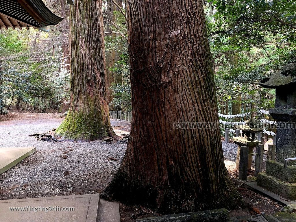 YTS_YTS_20190201_日本九州宮崎高千穂槵觸神社／夜泣石／天真名井／四皇子峯Japan Kyushu Miyazaki Kushifuru Shrine073_IMG_3214.jpg