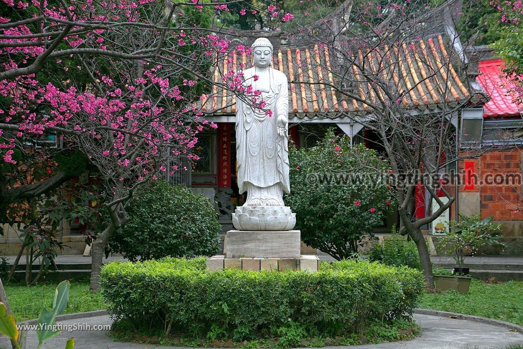 YTS_YTS_20190210_桃園楊梅麟鳳宮回善寺Taoyuan Yangmei Hueishan Temple006_539A0397.jpg