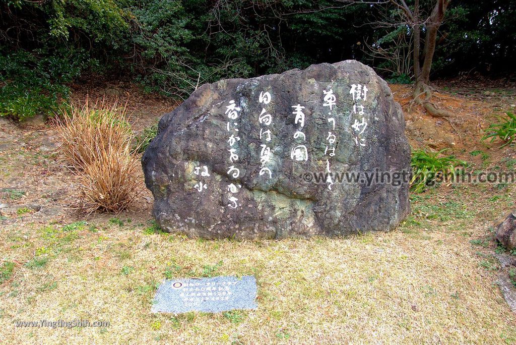 YTS_YTS_20190130_日本九州宮崎日向岬日本第一柱狀岩／馬背峽／細島灯台Japan Kyushu Miyazaki Cape Hyuga／Umagase011_3A5A9084.jpg