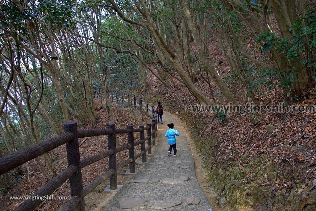 YTS_YTS_20190130_日本九州宮崎日向岬日本第一柱狀岩／馬背峽／細島灯台Japan Kyushu Miyazaki Cape Hyuga／Umagase031_3A5A9162.jpg