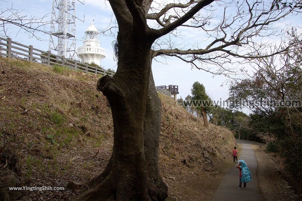 YTS_YTS_20190130_日本九州宮崎日向岬日本第一柱狀岩／馬背峽／細島灯台Japan Kyushu Miyazaki Cape Hyuga／Umagase132_3A5A0431.jpg