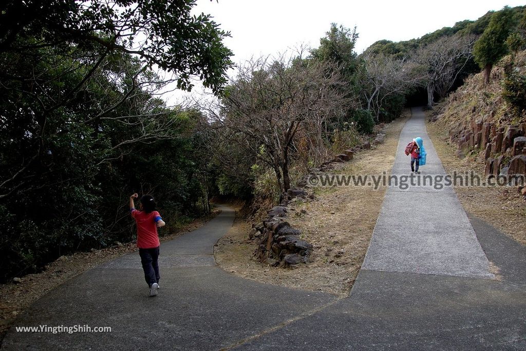 YTS_YTS_20190130_日本九州宮崎日向岬日本第一柱狀岩／馬背峽／細島灯台Japan Kyushu Miyazaki Cape Hyuga／Umagase133_3A5A0465.jpg