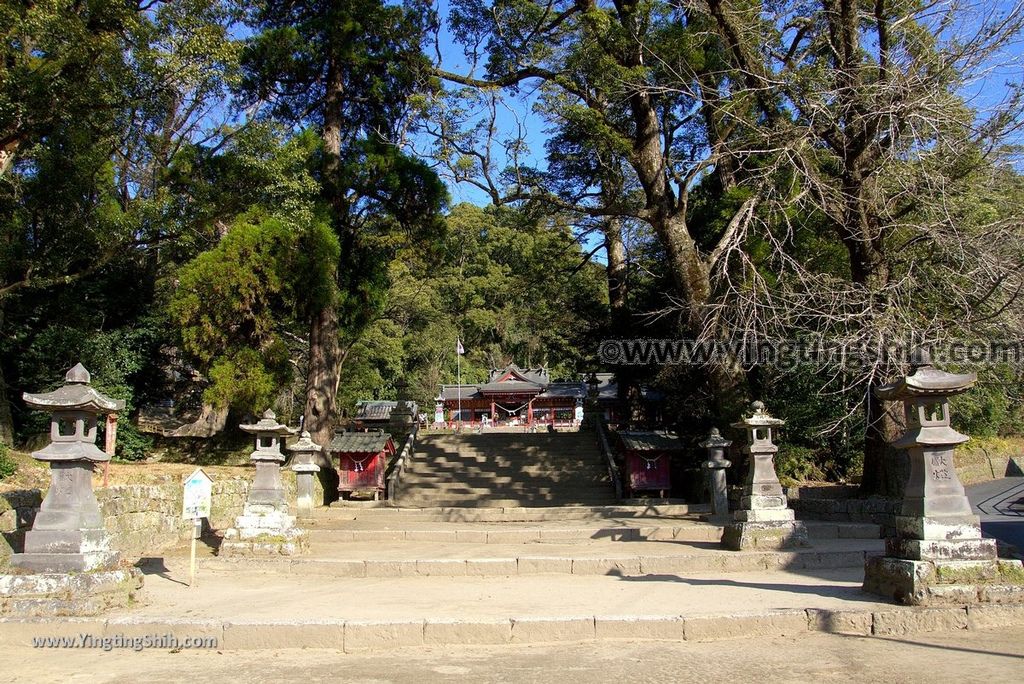 YTS_YTS_20190126_日本九州鹿兒島県姶良日本最大巨木／蒲生大楠／蒲生の大クスJapan Kagoshima Aira The Largest Tree In Japan001_3A5A2715.jpg