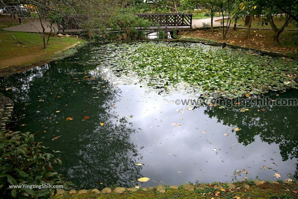 YTS_YTS_20190204_桃園八德埤塘生態公園／TINA廚房Taoyuan Bade Pond Ecology Park009_539A7363.jpg