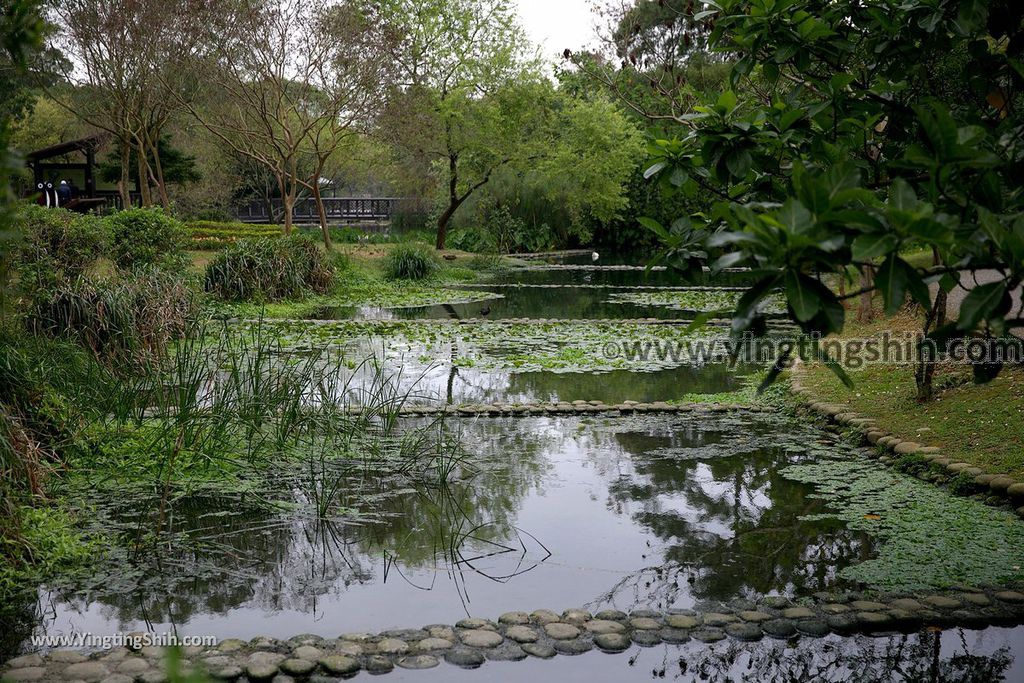 YTS_YTS_20190204_桃園八德埤塘生態公園／TINA廚房Taoyuan Bade Pond Ecology Park017_539A7382.jpg