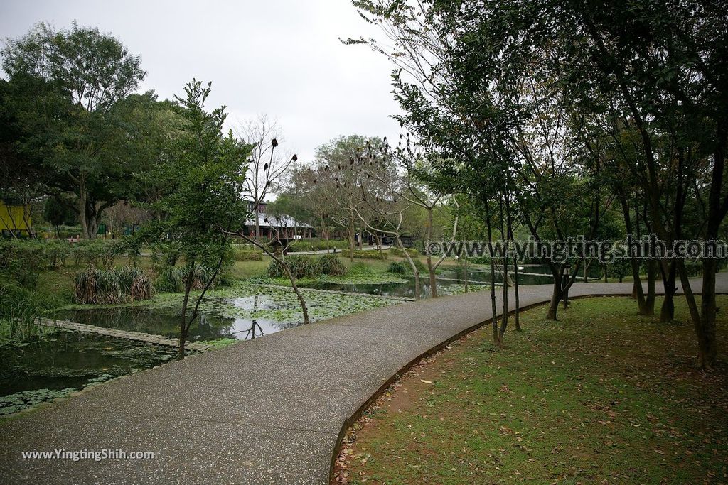 YTS_YTS_20190204_桃園八德埤塘生態公園／TINA廚房Taoyuan Bade Pond Ecology Park016_539A7373.jpg