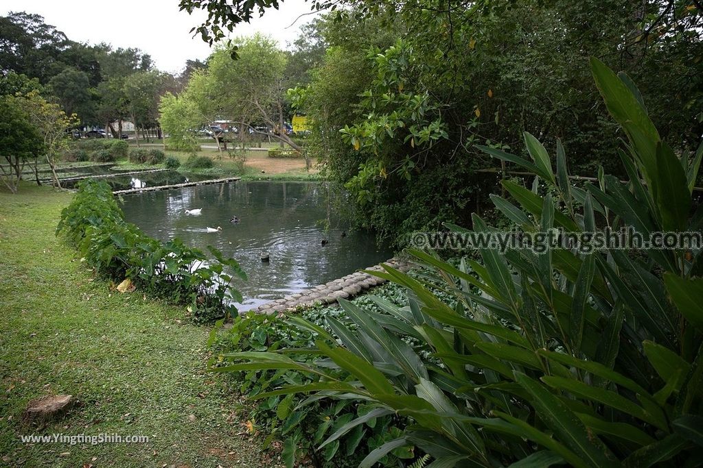 YTS_YTS_20190204_桃園八德埤塘生態公園／TINA廚房Taoyuan Bade Pond Ecology Park022_539A7393.jpg