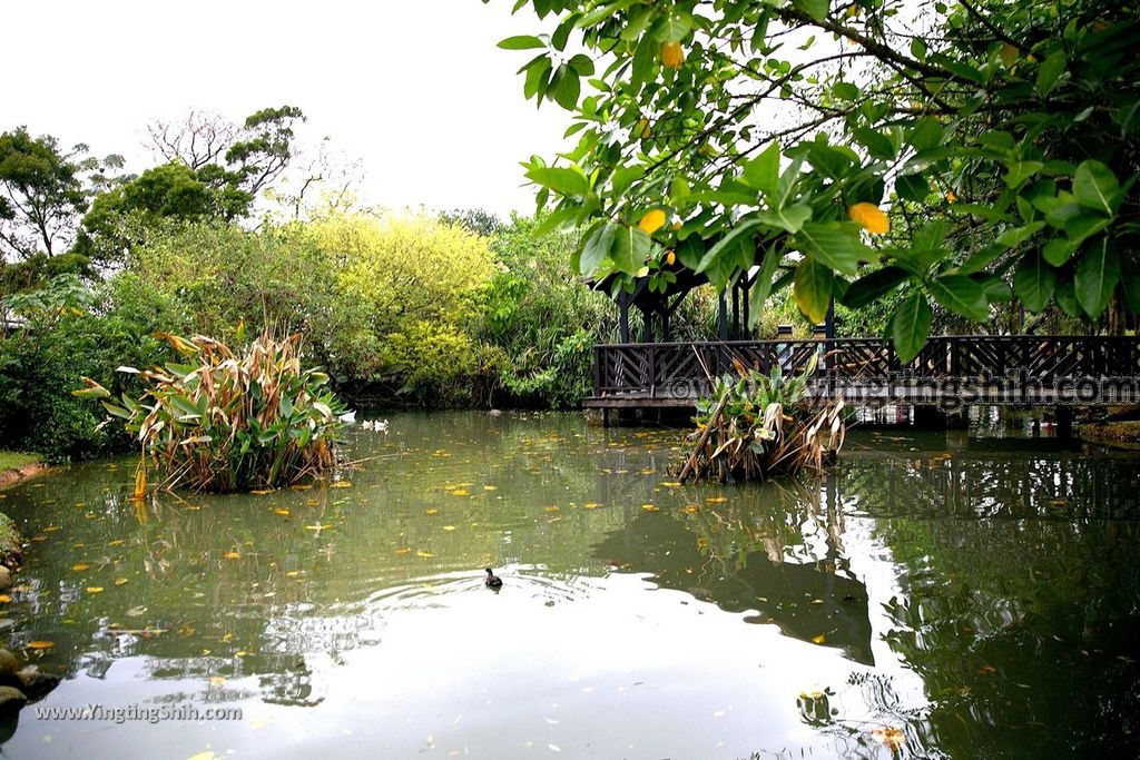 YTS_YTS_20190204_桃園八德埤塘生態公園／TINA廚房Taoyuan Bade Pond Ecology Park032_539A7410.jpg