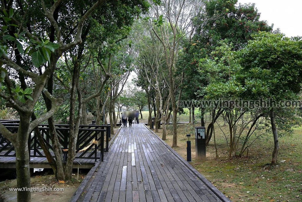 YTS_YTS_20190204_桃園八德埤塘生態公園／TINA廚房Taoyuan Bade Pond Ecology Park035_539A7415.jpg