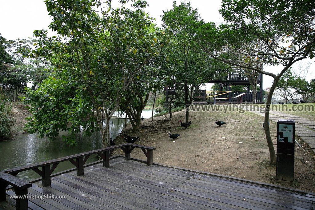 YTS_YTS_20190204_桃園八德埤塘生態公園／TINA廚房Taoyuan Bade Pond Ecology Park039_539A7427.jpg