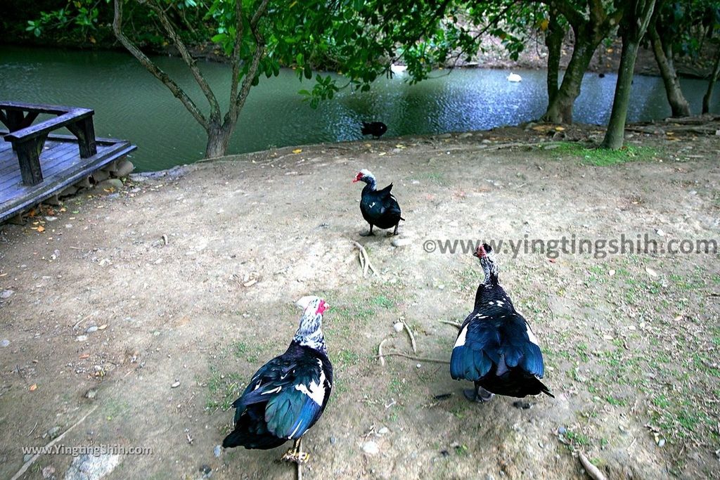 YTS_YTS_20190204_桃園八德埤塘生態公園／TINA廚房Taoyuan Bade Pond Ecology Park041_539A7437.jpg