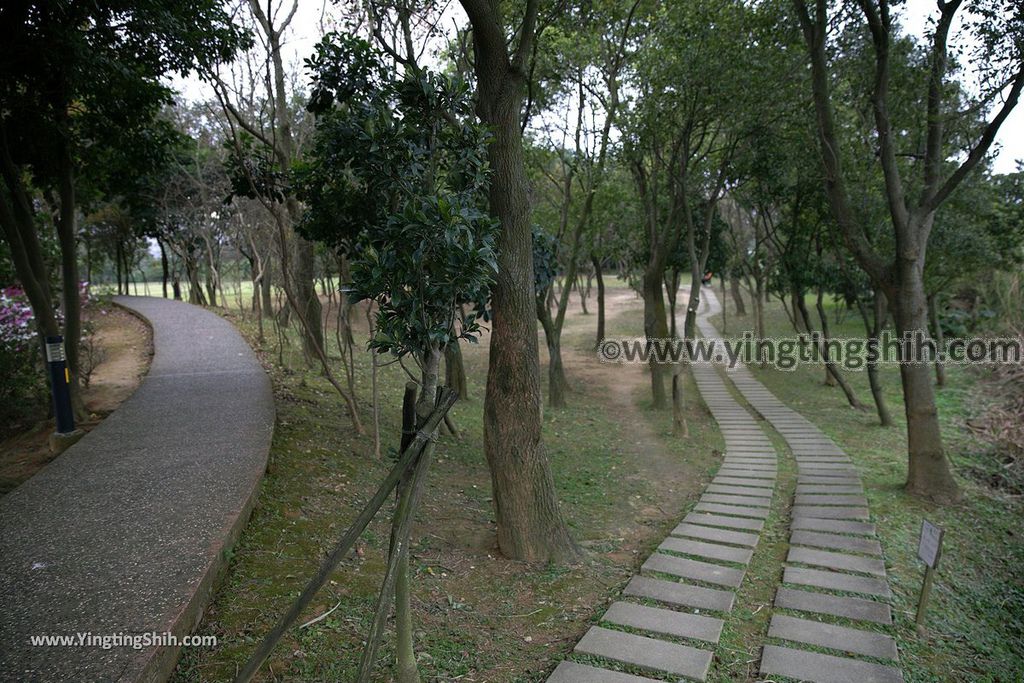 YTS_YTS_20190204_桃園八德埤塘生態公園／TINA廚房Taoyuan Bade Pond Ecology Park071_539A7504.jpg