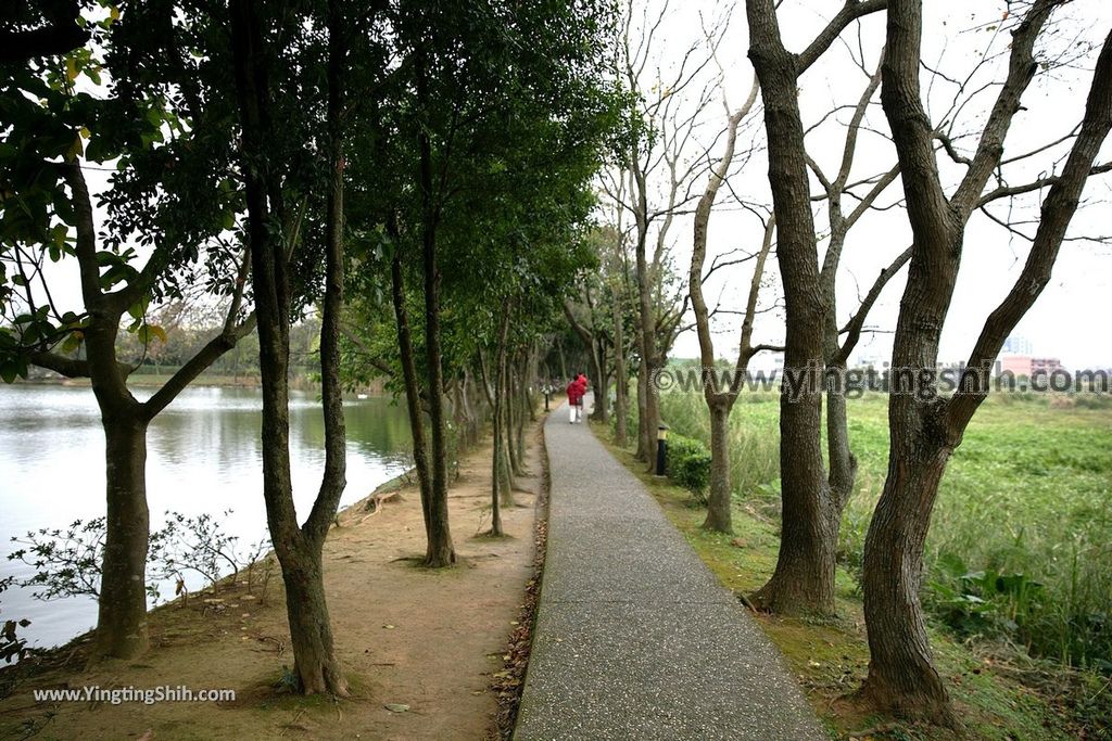 YTS_YTS_20190204_桃園八德埤塘生態公園／TINA廚房Taoyuan Bade Pond Ecology Park069_539A7491.jpg