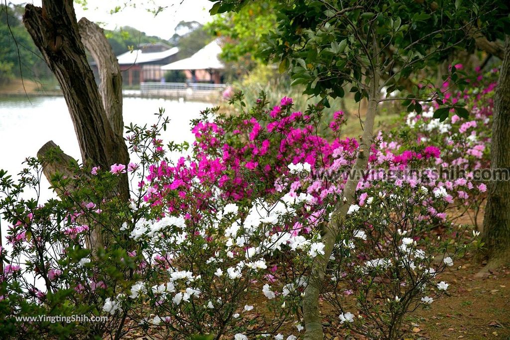 YTS_YTS_20190204_桃園八德埤塘生態公園／TINA廚房Taoyuan Bade Pond Ecology Park073_539A7507.jpg