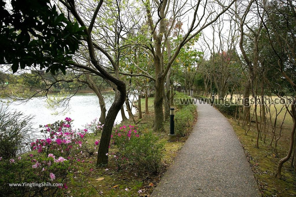 YTS_YTS_20190204_桃園八德埤塘生態公園／TINA廚房Taoyuan Bade Pond Ecology Park074_539A7521.jpg