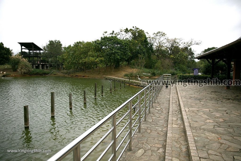 YTS_YTS_20190204_桃園八德埤塘生態公園／TINA廚房Taoyuan Bade Pond Ecology Park078_539A7562.jpg