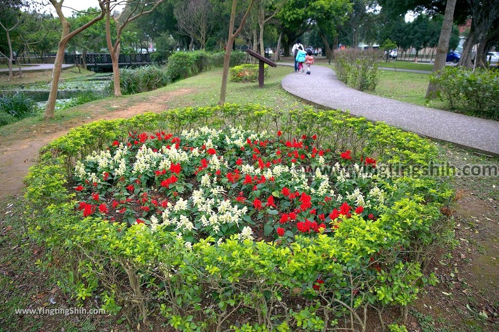 YTS_YTS_20190204_桃園八德埤塘生態公園／TINA廚房Taoyuan Bade Pond Ecology Park122_539A7757.jpg