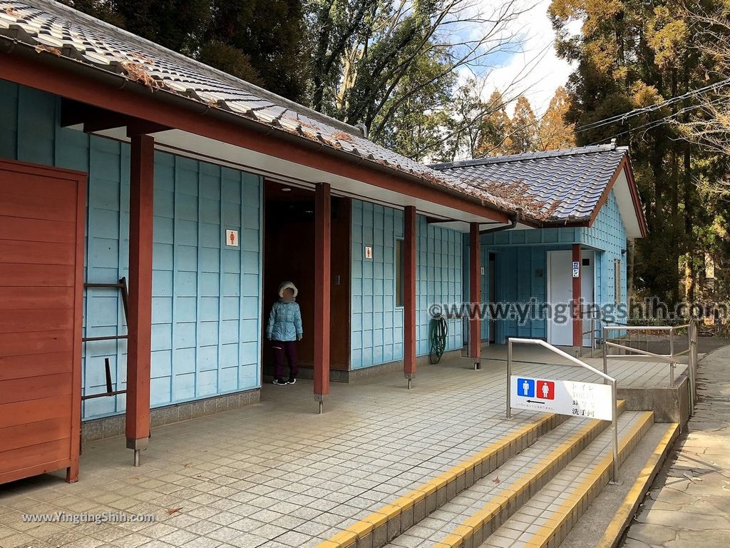 YTS_YTS_20190201_日本九州熊本阿蘇白川水源／名水百選Japan Kyushu Kumamoto MEISUI SHIRAKAWA SUIGEN Spring024_IMG_3758.jpg