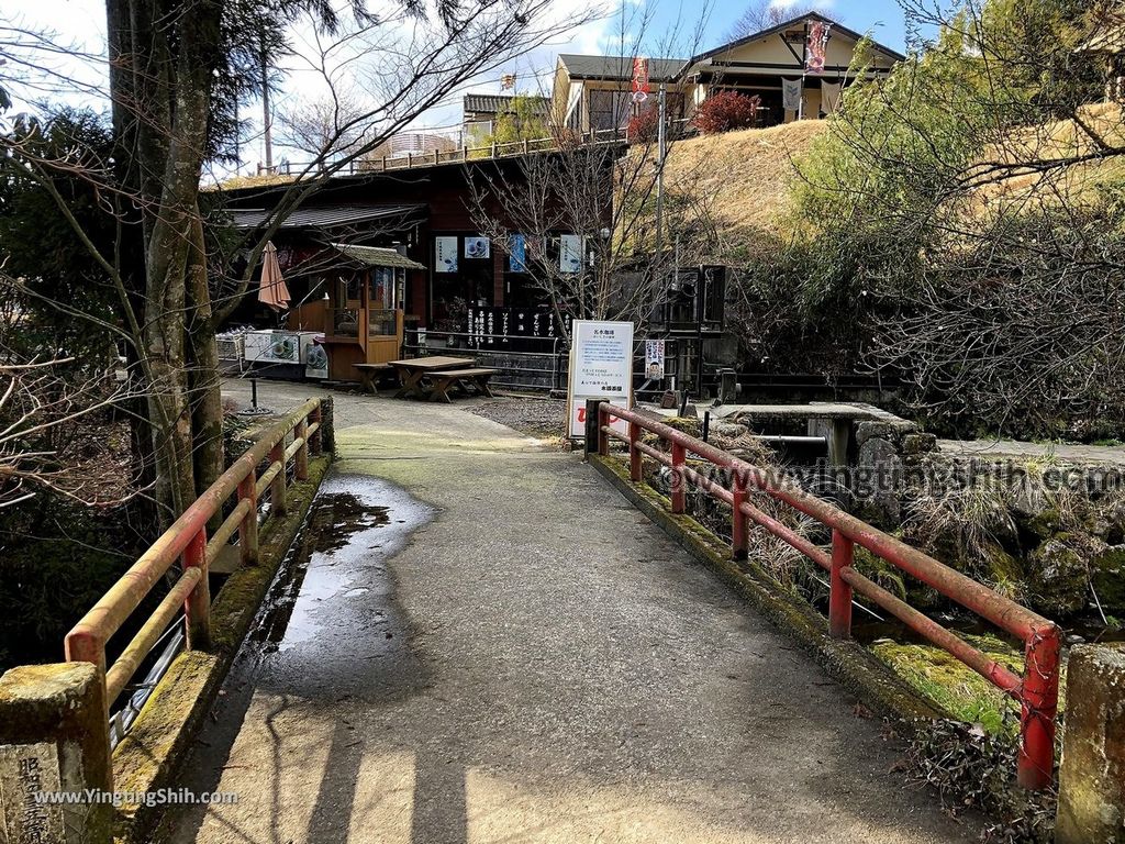 YTS_YTS_20190201_日本九州熊本阿蘇白川水源／名水百選Japan Kyushu Kumamoto MEISUI SHIRAKAWA SUIGEN Spring035_IMG_3781.jpg