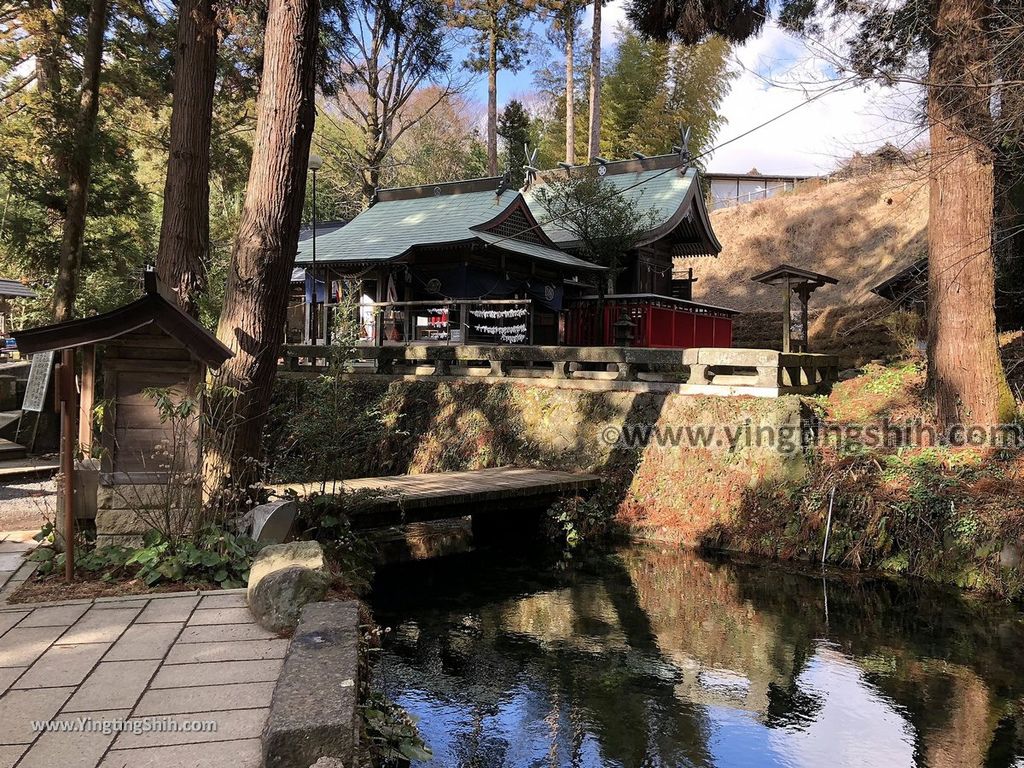 YTS_YTS_20190201_日本九州熊本阿蘇白川水源／名水百選Japan Kyushu Kumamoto MEISUI SHIRAKAWA SUIGEN Spring064_IMG_3833.jpg