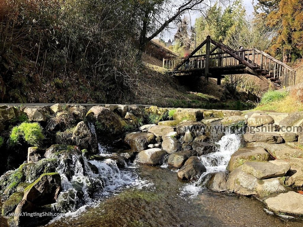 YTS_YTS_20190201_日本九州熊本阿蘇白川水源／名水百選Japan Kyushu Kumamoto MEISUI SHIRAKAWA SUIGEN Spring088_IMG_3880.jpg