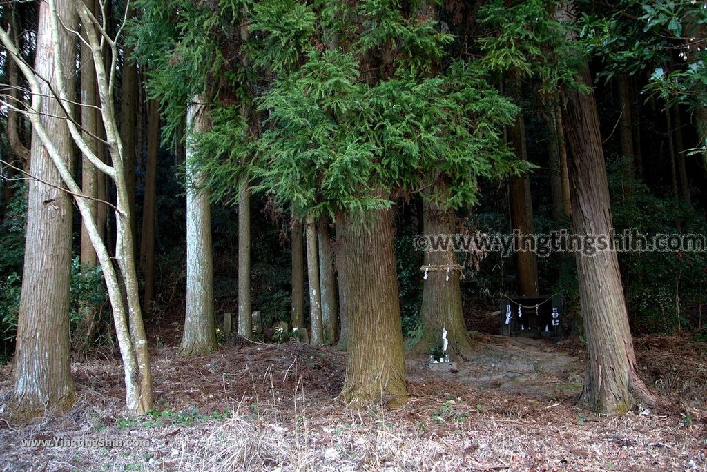 YTS_YTS_20190125_日本九州鹿兒島清水磨崖仏／岩屋公園／櫻之屋形Japan Kagoshima Minamikyushu Iwaya Park013_3A5A0140.jpg