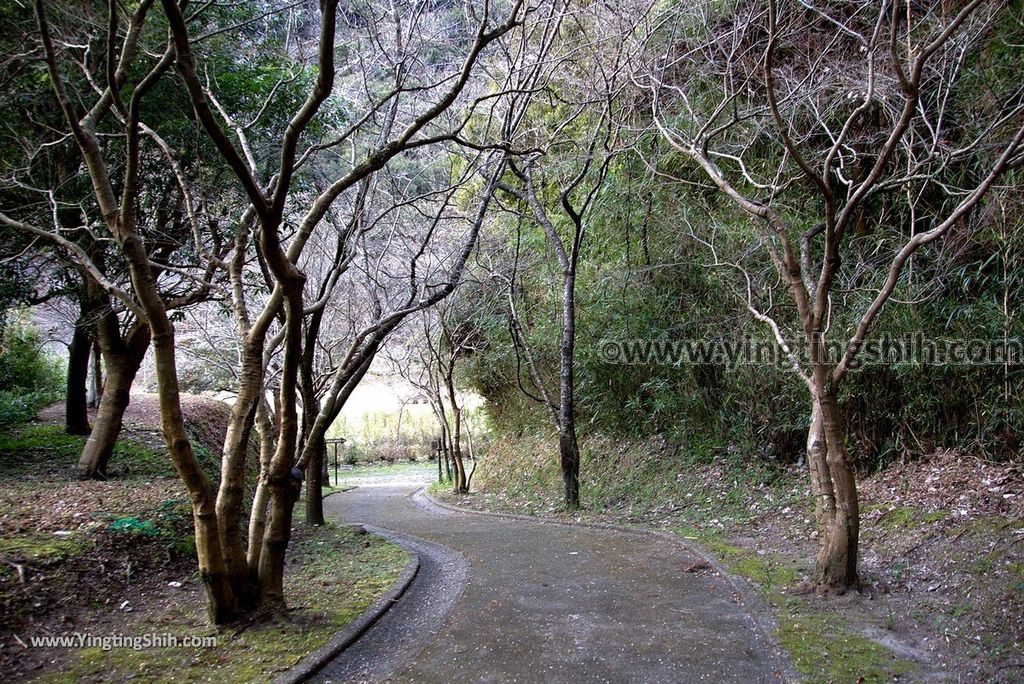 YTS_YTS_20190125_日本九州鹿兒島清水磨崖仏／岩屋公園／櫻之屋形Japan Kagoshima Minamikyushu Iwaya Park015_3A5A0152.jpg