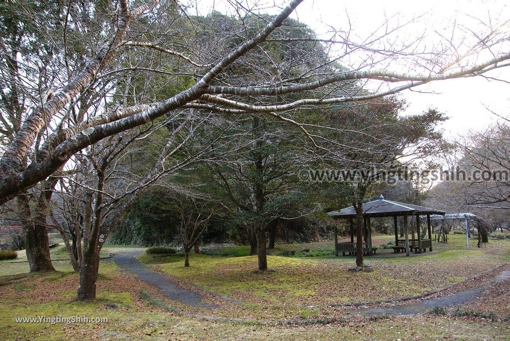 YTS_YTS_20190125_日本九州鹿兒島清水磨崖仏／岩屋公園／櫻之屋形Japan Kagoshima Minamikyushu Iwaya Park077_3A5A0876.jpg