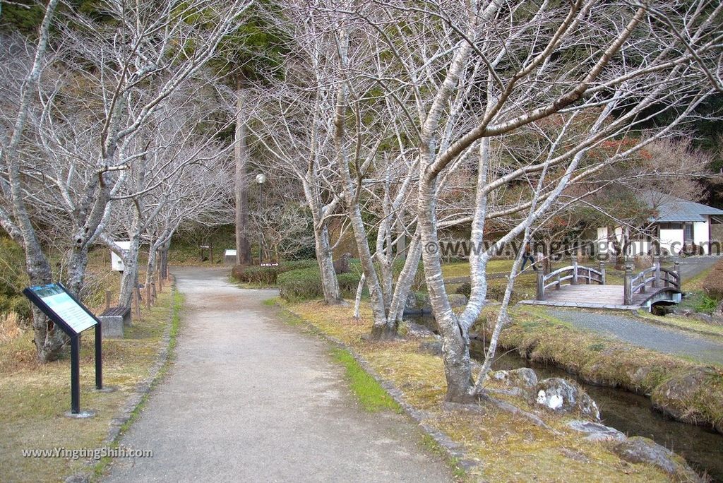 YTS_YTS_20190125_日本九州鹿兒島清水磨崖仏／岩屋公園／櫻之屋形Japan Kagoshima Minamikyushu Iwaya Park085_3A5A1079.jpg