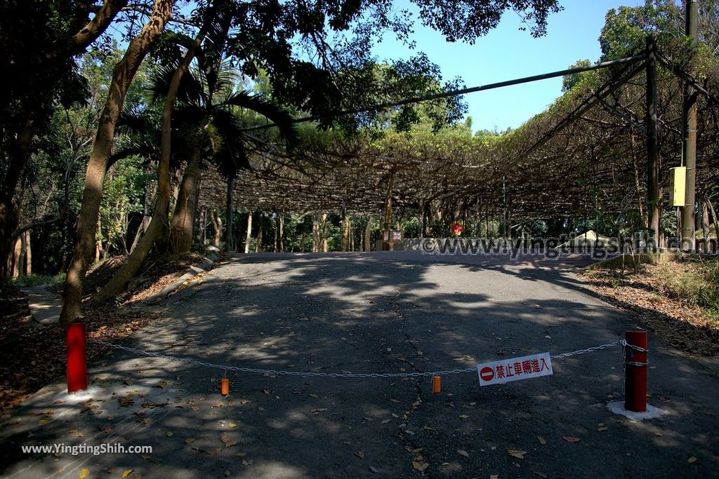 YTS_YTS_20190209_台南官田川文山森林生態保育農場／步道Tainan Guantian Chuan Wenshan Forest Ecological Conservation Farm032_539A9155.jpg