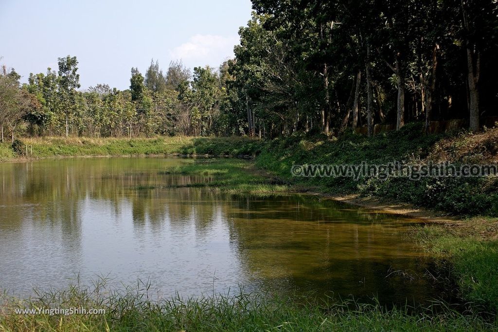 YTS_YTS_20190209_台南官田川文山森林生態保育農場／步道Tainan Guantian Chuan Wenshan Forest Ecological Conservation Farm064_539A9264.jpg