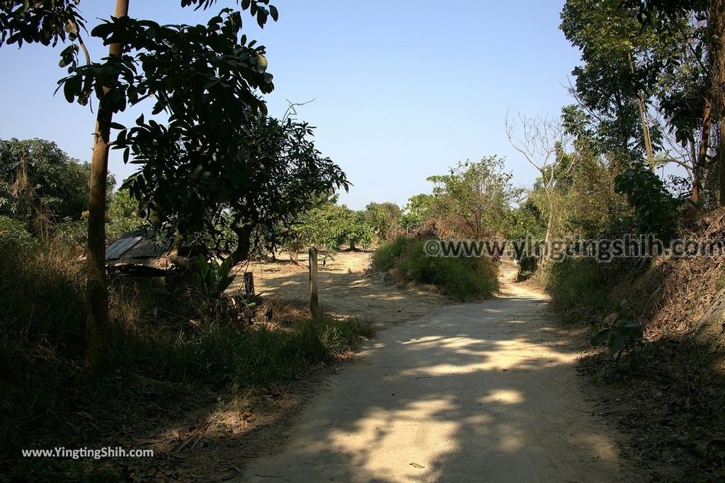 YTS_YTS_20190209_台南官田川文山森林生態保育農場／步道Tainan Guantian Chuan Wenshan Forest Ecological Conservation Farm078_539A9218.jpg