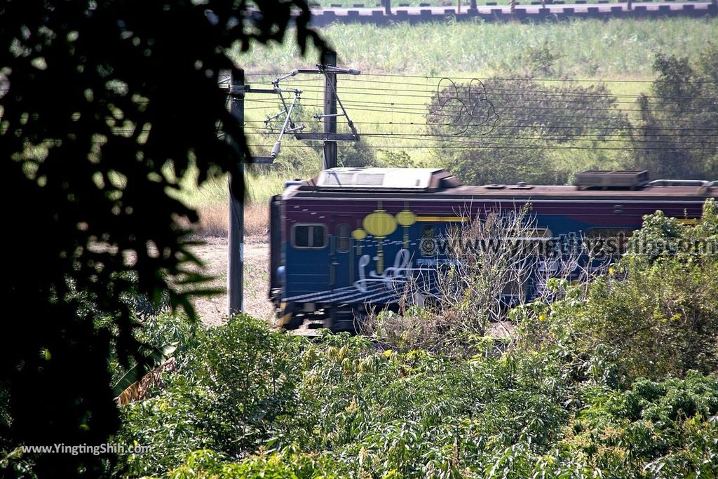 YTS_YTS_20190209_台南官田川文山森林生態保育農場／步道Tainan Guantian Chuan Wenshan Forest Ecological Conservation Farm087_539A9208.jpg